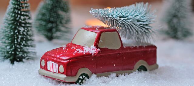 Die Nordmanntanne eignet sich perfekt für den Christbaum: weiche, grüne Nadeln, sehr buschig, hat starke Äste für den Schmuck und ist langlebig.