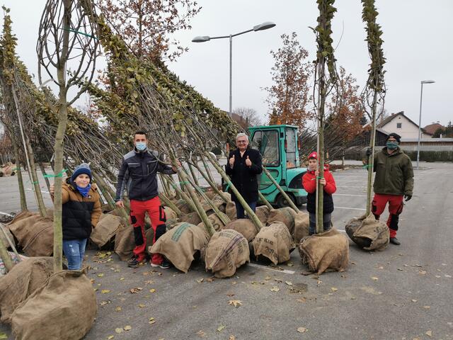 200 Bäume werden gepflanzt.