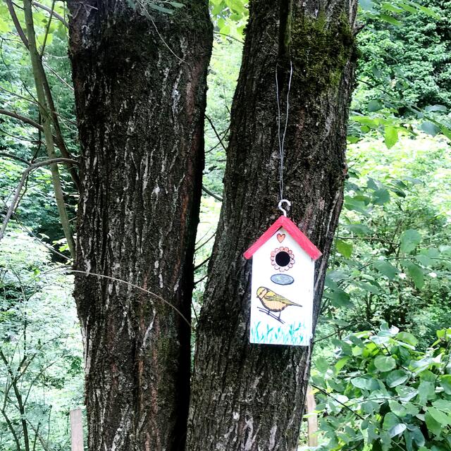 Der jeweilige Stil des Vogelhauses soll mit der jeweiligen Umgebung harmonieren. | Foto: Peter Kirchengast