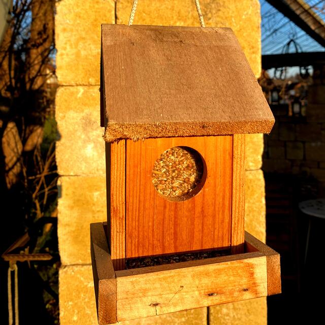 ... Holz oder Glas ...  | Foto: Peter Kirchengast