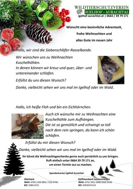Foto: Wunschzettel 1 bis 9: Grafik Andy Müller - Foto Wilfried Fischer
