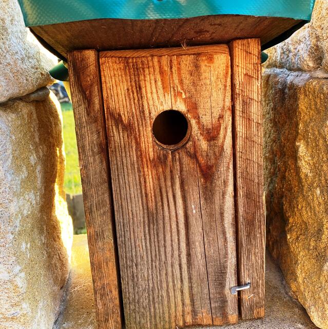 Foto: Peter Kirchengast