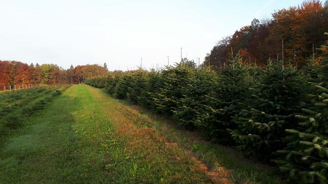 Foto: Fam. Doppelbauer 