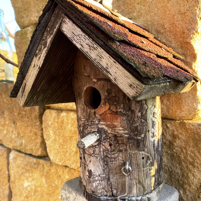 Foto: Peter Kirchengast