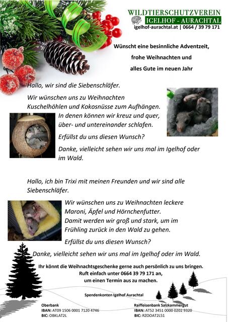 Foto: Wunschzettel 1 bis 9: Grafik Andy Müller - Foto Wilfried Fischer