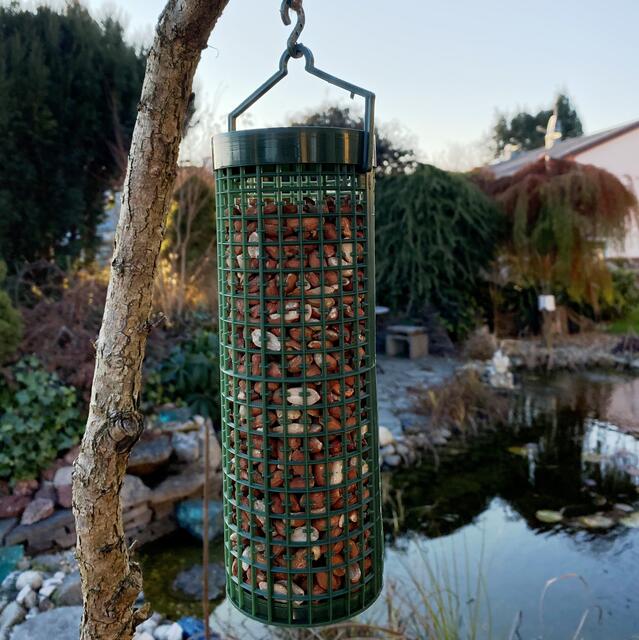 Foto: Peter Kirchengast