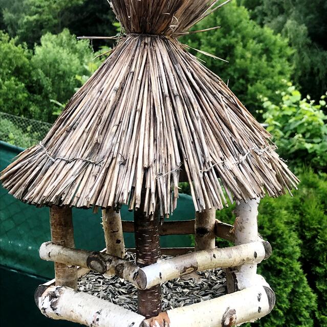 Foto: Peter Kirchengast