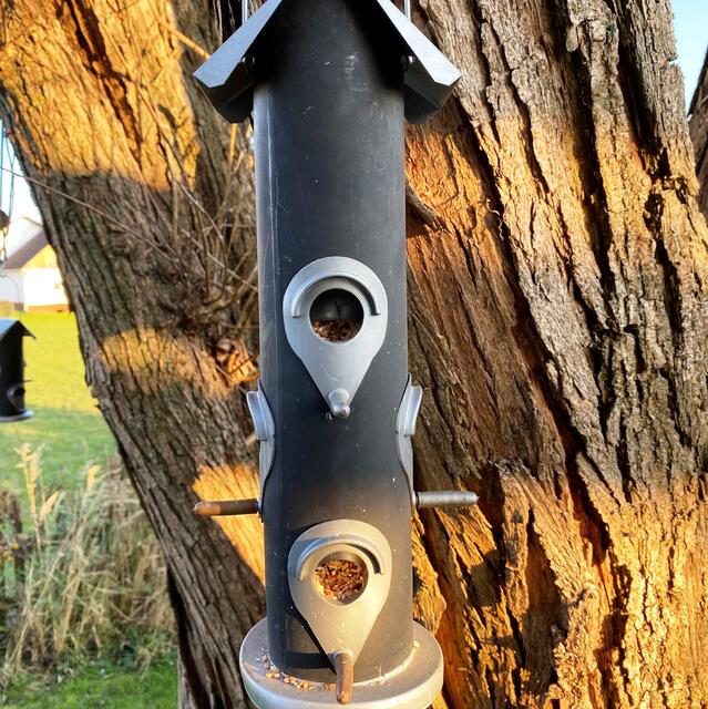 ... bzw. aus Metall sind, sollen mit der jeweiligen Umgebung harmonieren. | Foto: Peter Kirchengast