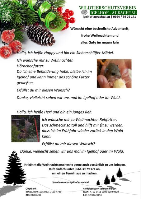 Foto: Wunschzettel 1 bis 9: Grafik Andy Müller - Foto Wilfried Fischer