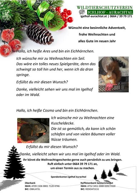 Foto: Wunschzettel 1 bis 9: Grafik Andy Müller - Foto Wilfried Fischer