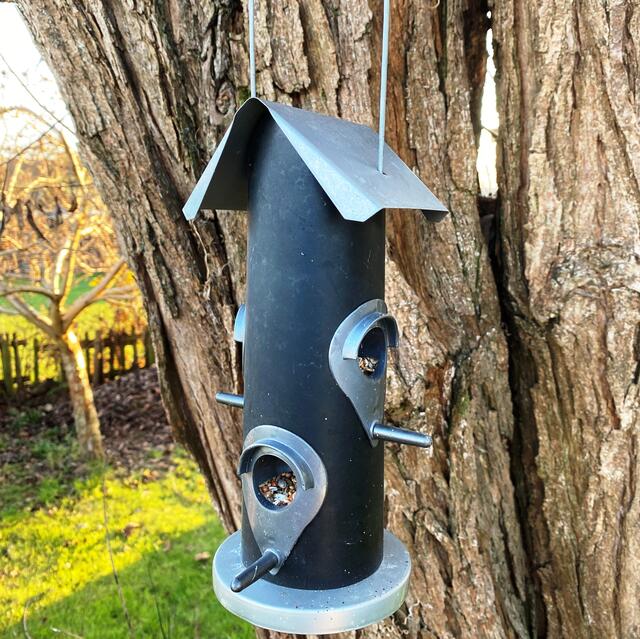 Foto: Peter Kirchengast