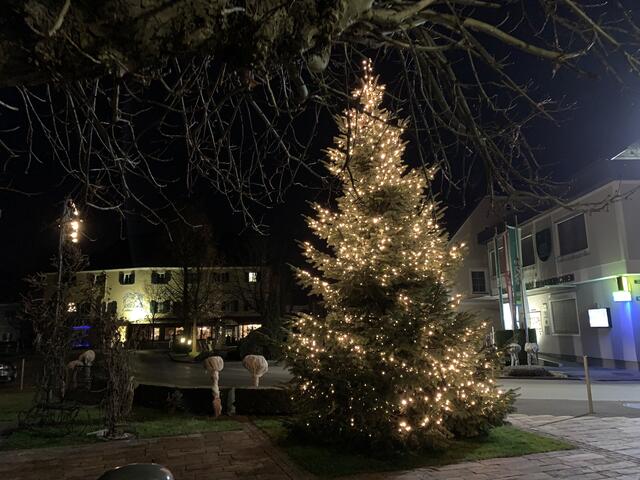 Stefan Hojnik versah den Weihnachtsbaum am Marktplatz mit Tausenden Lichtern. | Foto: Wutte