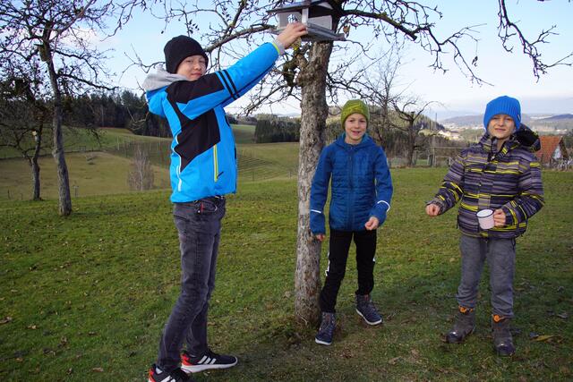 Tobias, Philip und Timo Pichler von der önj Unterkagerer haben schon rechtzeitig im Herbst mit der Winterfütterung in ihrem Garten in Kasten begonnen. | Foto: Helmut Eder