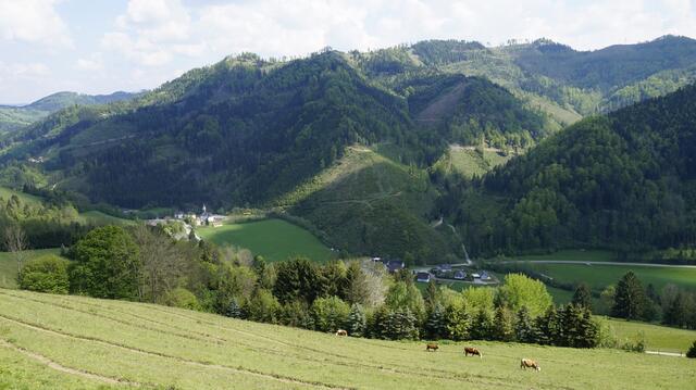 Das Stübingtal bleibt so, wie es ist: Das Projekt Steinbruch wird nicht umgesetzt. | Foto: KK