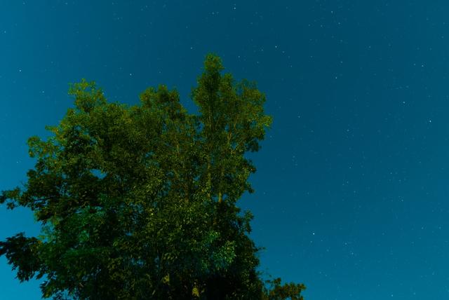 Heute Nacht sollte die Sicht klar sein