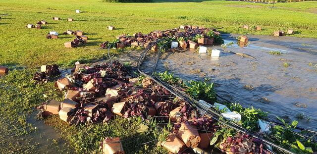 Die heurigen Unwetter verursachten große Schäden.