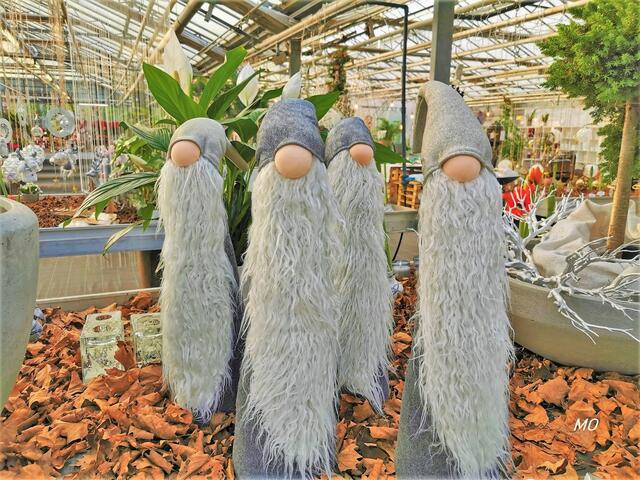 Willis Erlebnisgärtnerei, Graz