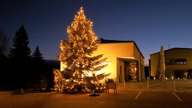 Als einstiges Wahlwerbegeschenk präsentiert sich die "Waldheim-Tanne" als prächtiger Christbaum am Dorfplatz in Waldneukirchen. 