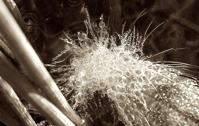 Foto: © by bettina seier