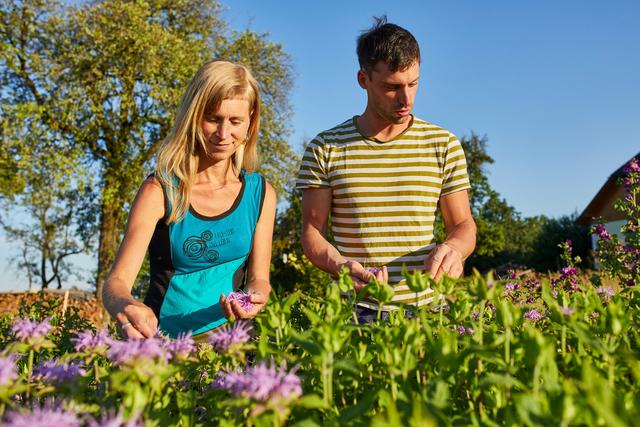 Bei der Kräuterernte am Mathiashof | Foto: Magdalena und Thomas Steinbauer