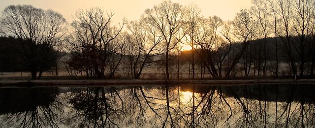 Foto: © by bettina seier