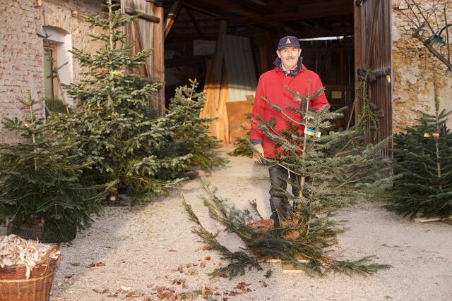 Franz Bauer mit der Tanne für einen Leser.