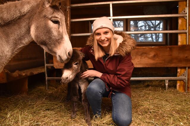 Eseldame „Cilli“ hat nach rund 12-monatiger Schwangerschaft ein gesundes Eselbaby zur Welt gebracht. „Flocki" ist wohlauf und noch etwas schüchtern. Die Freude ist auch bei Martina Kirchmair groß.