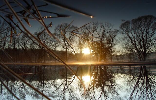 Foto: © by bettina seier
