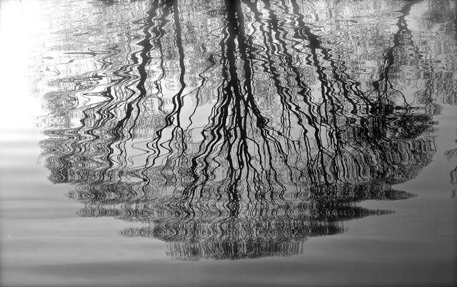 Wavy Lines | Foto: © by bettina seier
