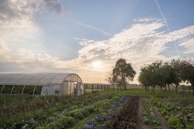 Anbau am Machlandhof | Foto: Angelika Bräuer