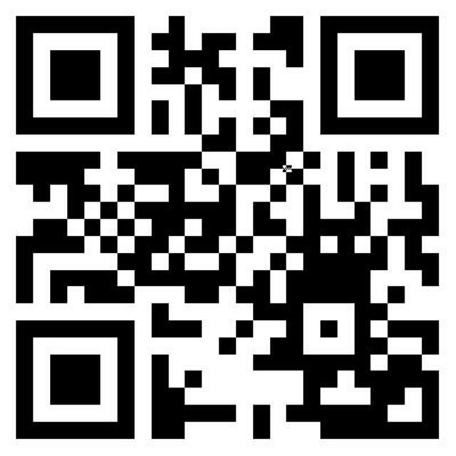 Mit diesem QR Code können sie die Ausstellung besuchen. Einfach vor die eingeschaltete Kamera ihres Handys halten und reinklicken.