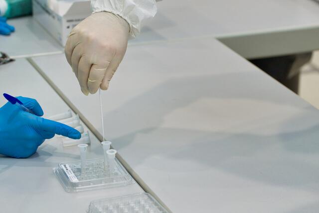 Die Analyse dauert nur wenige Minuten. | Foto: Baumgartner/BRS