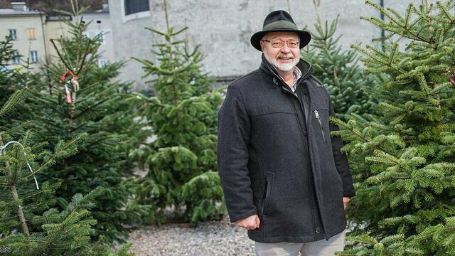 Christophorus Huber ist der Leiter des städtischen Marktamtes und warf einen Blick auf die Bäume. | Foto: Stadt/Jakob Knoll