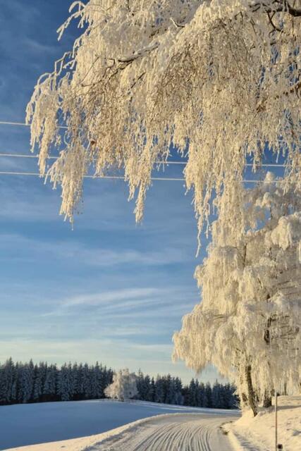Einfach herrlich...