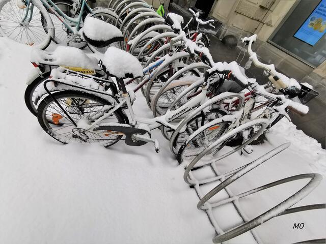 Fahrräder, Hauptplatz