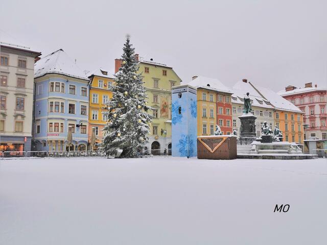 Grazer Christbaum 2020