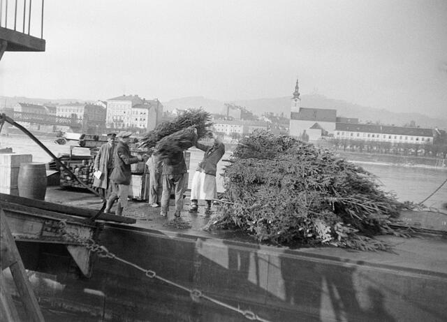 Bis zum Bau des Linzer Hafens wurden Waren an der Unteren Donaulände gelöscht. | Foto: Archiv der Stadt Linz