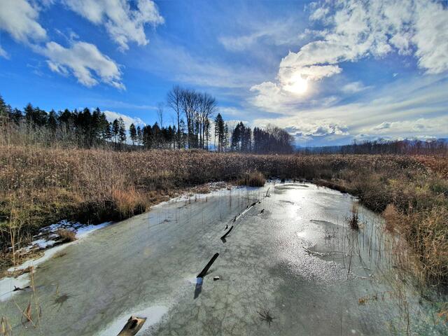 Auenerlebnisweg Weitwörther Au im Winter