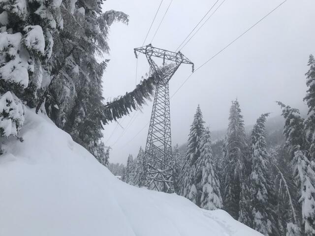 Durch umgestürzte Bäume kam es immer wieder zu Unterbrechungen in der Stromversorgung. | Foto: Tinetz