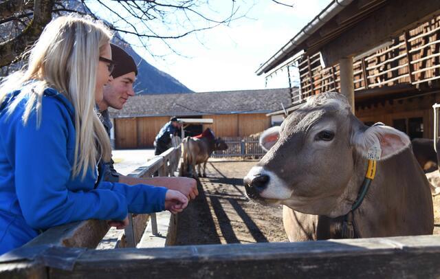 Nicht zu kurz kommt die Tierliebe und die Verarbeitung von tierischen Produkten zu wertvollen Nahrungsmitteln.