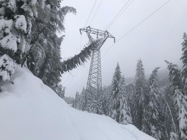 Derartige Baumschäden sind oft der Grund für einen Stromausfall. Die Mitarbeiter der TINETZ rücken dann aus, um die Bäume zu beseitigen (Symbolbild). | Foto: TINETZ