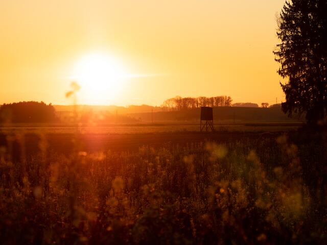 Sonnenuntergang in Enns bei den Feldern in Hiesendorf.