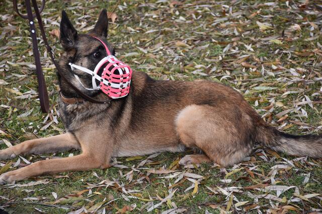 Foto: Robert Zinterhof