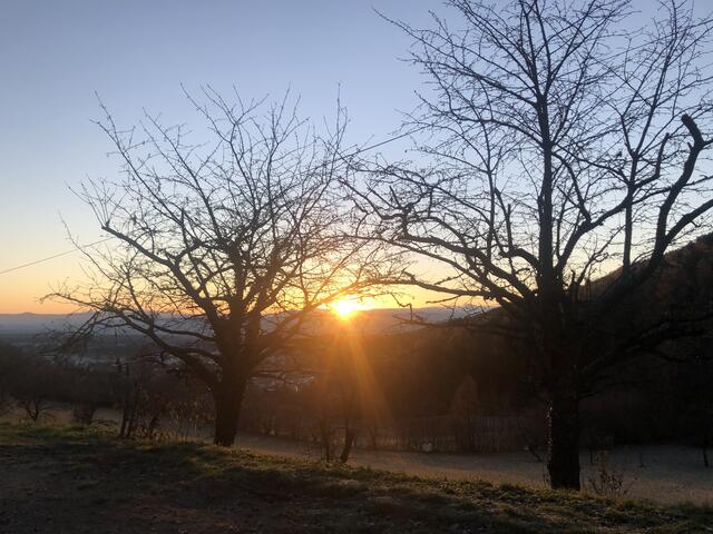Früher Start zur 15,2 km langen Laufrunde über den Gösing.