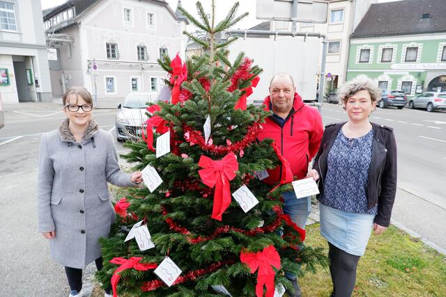 Am Foto von links Stadtparteivorsitzende Bianca Karr-Sajtarevic, Fraktionsvorsitzender Franz Frühwirth und Stadträtin Viktoria Frühwirth | Foto: SPÖ Stadt Perg