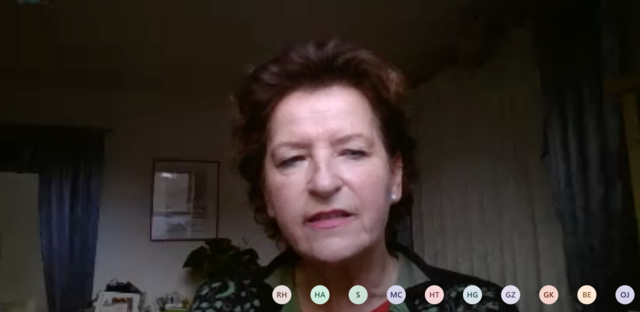 Auch LR Ursula Lackner meldete sich aus dem Home-Office. | Foto: NdC