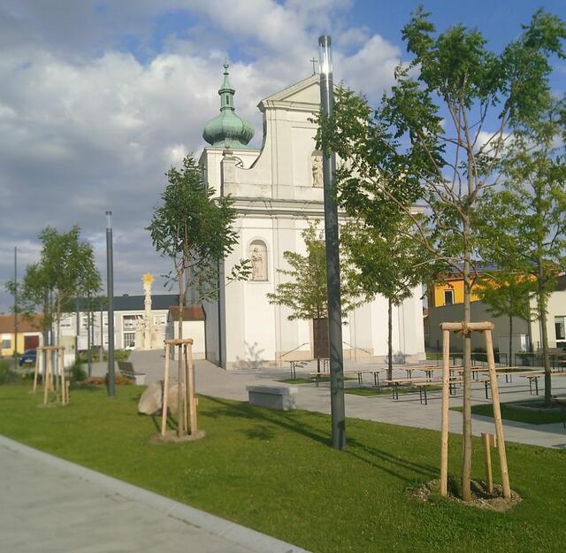 Auf dem Kirchenplatz in Enzersdorf wurden vier Bäume gepflanzt.  | Foto: Gemeinde Enzersdorf/Fischa
