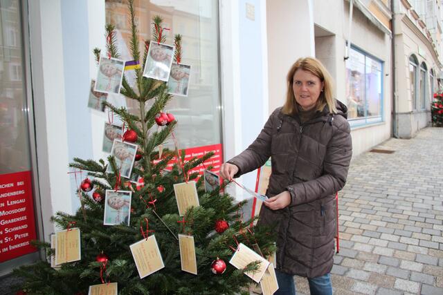 In Aspach, Braunau und Lochen stehen Weihnachtsbäume mit Wünschen von SOS-Kinderdorf-Kindern. "Vom Kinoabend mit Popcorn bis hin zum Sommerrodeln kann man mit seinem Beitrag selbst entscheiden, wie man die Kinder beschenken möchte", erzählt Gabriele Knauseder, SPÖ-Bezirksvorsitzende.