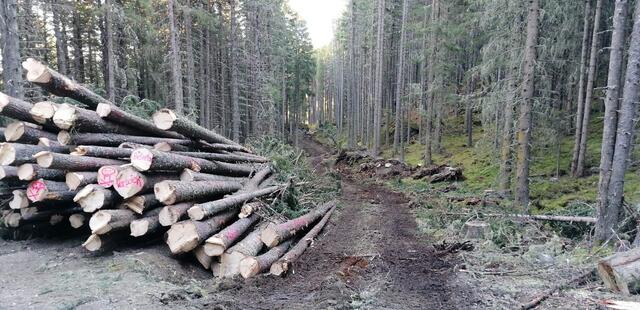 Die neue Rodelbahn in Tulfes wird circa vier Kilometer lang. Die Strecke verläuft dann von der Sektion zwei Bergstation bis hinunter zur Mittelstation.