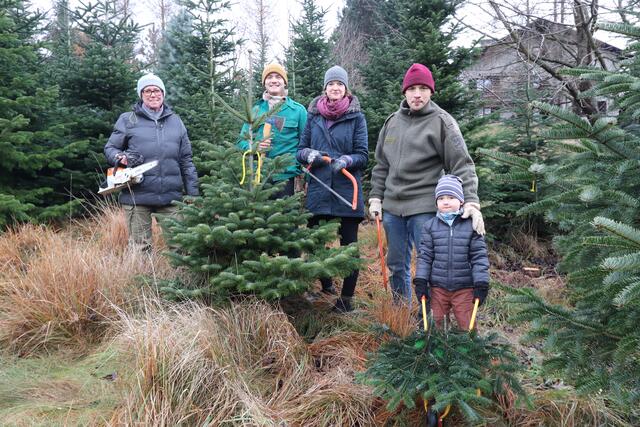 Für das Geschäft mit den Christbäumen arbeiten bereits drei Generationen der Familie Süss | Foto: Ericson